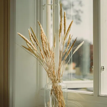 酒店 邦德慕斯酒店 斯卡恩