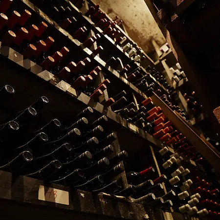 邦德慕斯酒店 酒店